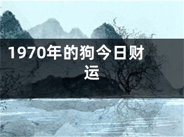 1970年的狗今日财运