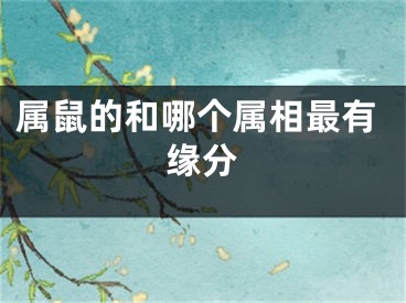 属鼠的和哪个属相最有缘分