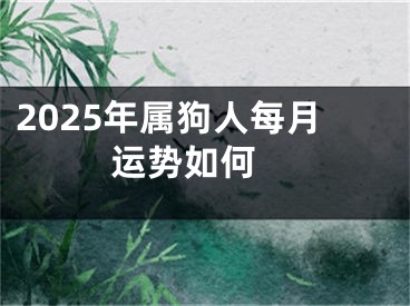 2025年属狗人每月运势如何 