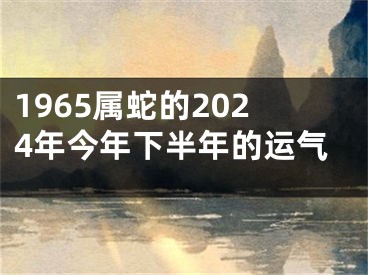 1965属蛇的2024年今年下半年的运气