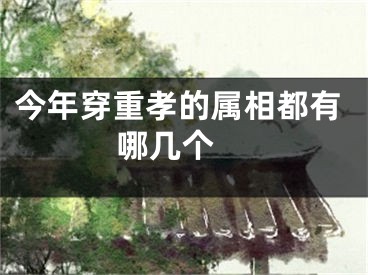 今年穿重孝的属相都有哪几个 