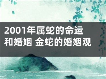 2001年属蛇的命运和婚姻 金蛇的婚姻观