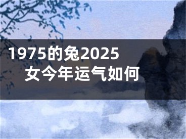 1975的兔2025女今年运气如何 
