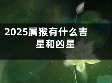 2025属猴有什么吉星和凶星