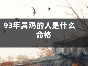93年属鸡的人是什么命格