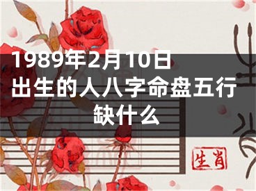1989年2月10日出生的人八字命盘五行缺什么
