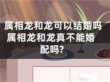 属相龙和龙可以结婚吗 属相龙和龙真不能婚配吗?