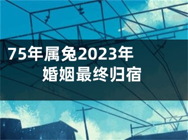 75年属兔2023年婚姻最终归宿