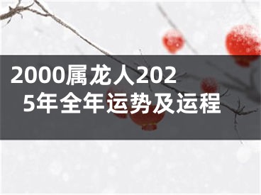 2000属龙人2025年全年运势及运程