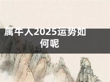 属牛人2025运势如何呢 