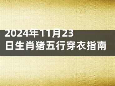 2024年11月23日生肖猪五行穿衣指南