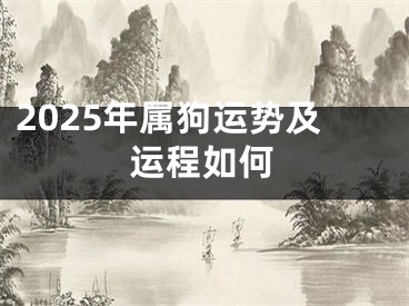 2025年属狗运势及运程如何