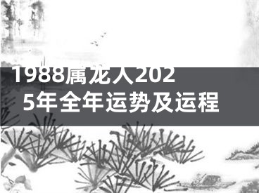 1988属龙人2025年全年运势及运程