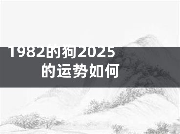 1982的狗2025的运势如何 