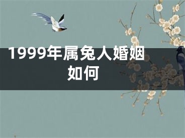 1999年属兔人婚姻如何 