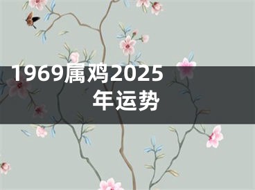 1969属鸡2025年运势
