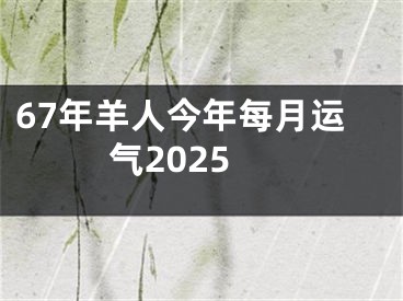 67年羊人今年每月运气2025