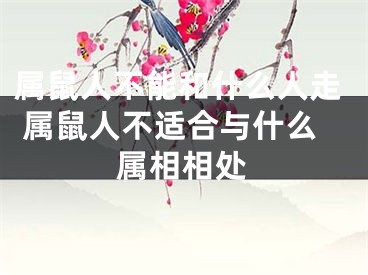 属鼠人不能和什么人走 属鼠人不适合与什么属相相处