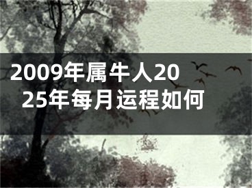 2009年属牛人2025年每月运程如何