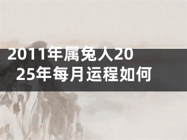2011年属兔人2025年每月运程如何