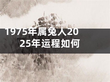 1975年属兔人2025年运程如何