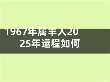 1967年属羊人2025年运程如何