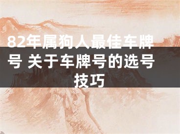 82年属狗人最佳车牌号 关于车牌号的选号技巧