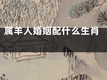 属羊人婚姻配什么生肖 