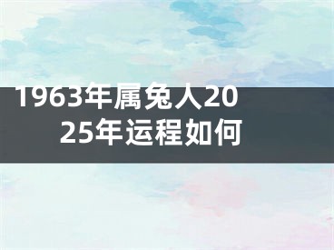 1963年属兔人2025年运程如何