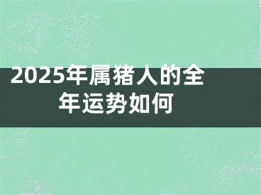 2025年属猪人的全年运势如何 