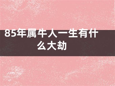 85年属牛人一生有什么大劫 