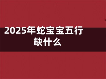 2025年蛇宝宝五行缺什么 