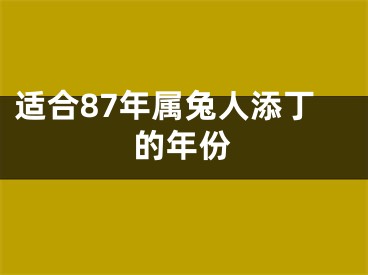 适合87年属兔人添丁的年份