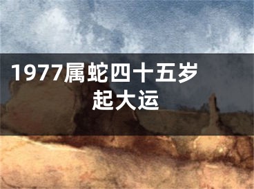 1977属蛇四十五岁起大运