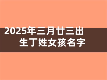2025年三月廿三出生丁姓女孩名字