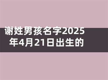 谢姓男孩名字2025年4月21日出生的