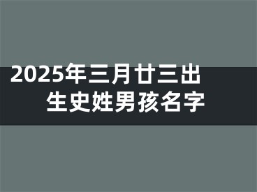 2025年三月廿三出生史姓男孩名字