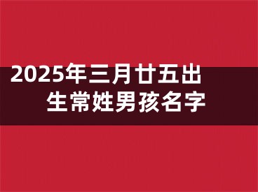 2025年三月廿五出生常姓男孩名字