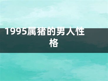 1995属猪的男人性格