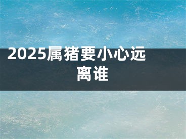 2025属猪要小心远离谁