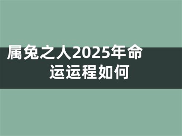 属兔之人2025年命运运程如何