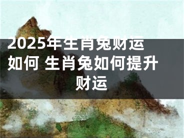 2025年生肖兔财运如何 生肖兔如何提升财运