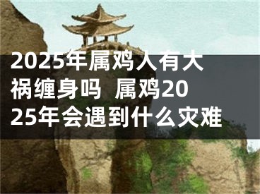 2025年属鸡人有大祸缠身吗  属鸡2025年会遇到什么灾难