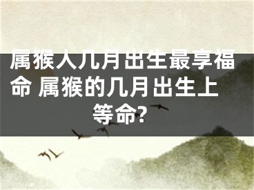 属猴人几月出生最享福命 属猴的几月出生上等命?