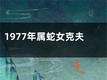 1977年属蛇女克夫