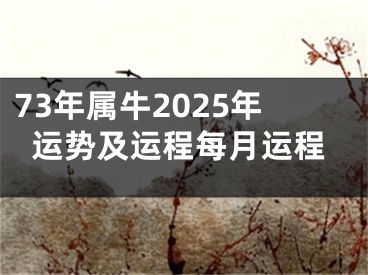 73年属牛2025年运势及运程每月运程