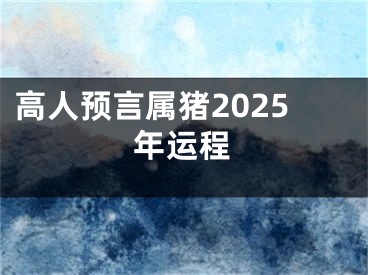 高人预言属猪2025年运程