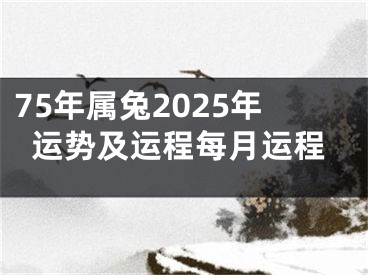 75年属兔2025年运势及运程每月运程