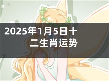 2025年1月5日十二生肖运势
