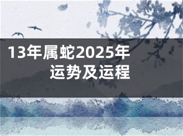 13年属蛇2025年运势及运程